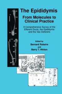 Imagen de portada: The Epididymis: From Molecules to Clinical Practice 1st edition 9780306466847
