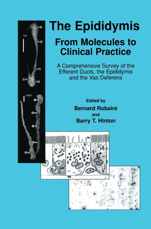 The Epididymis: From Molecules to Clinical Practice: A Comprehensive Survey of the Efferent Ducts, the Epididymis and the Vas Deferens, 1st Edition - FULL INSTANT DOWNLOAD | PDF DOCX EPUB