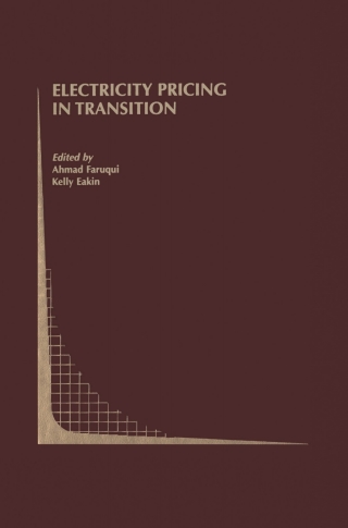 Cover image: Electricity Pricing in Transition 1st edition 9780792376002