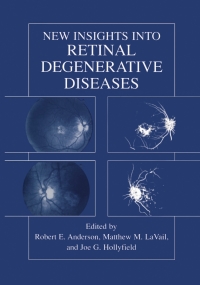 Omslagafbeelding: New Insights Into Retinal Degenerative Diseases 1st edition 9780306466793