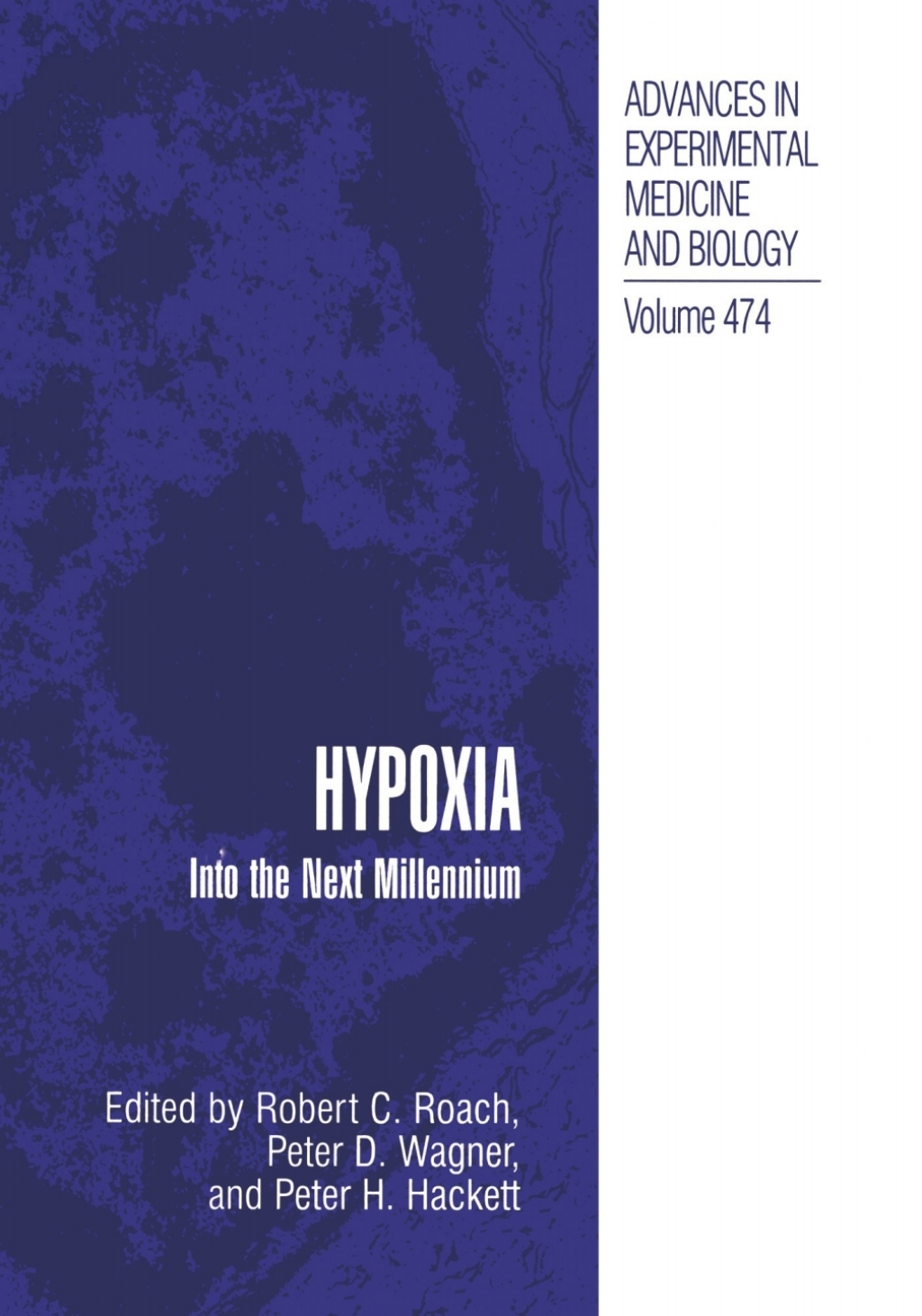 Hypoxia Into the Next Millennium 1st Edition