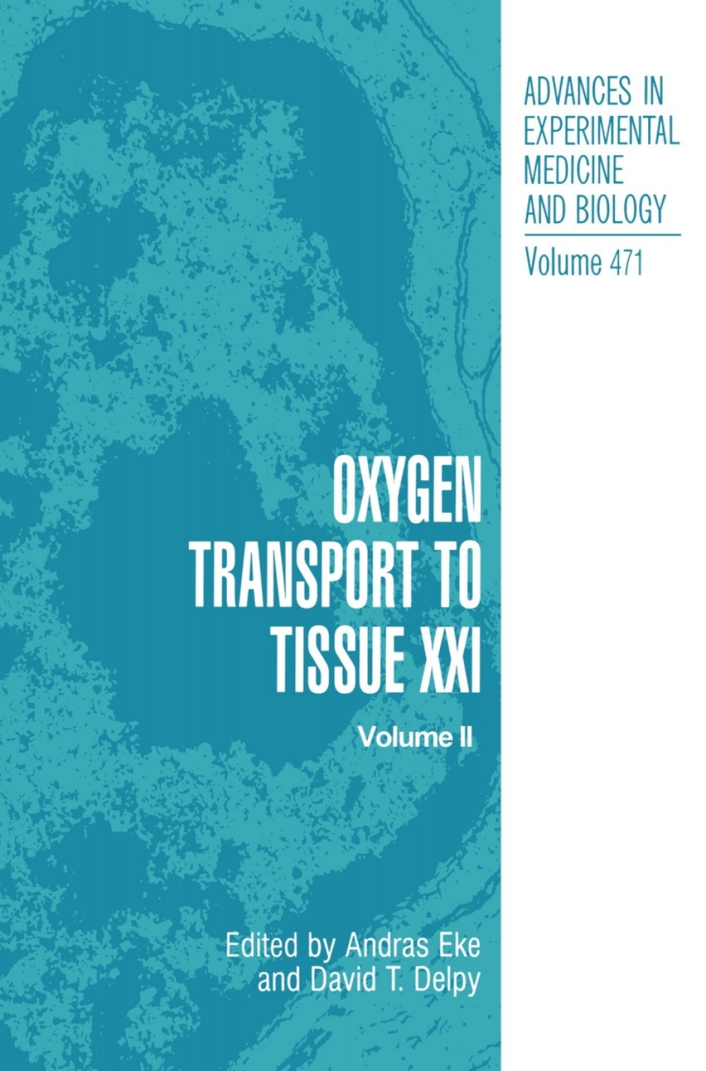Oxygen Transport to Tissue XXI 1st Edition