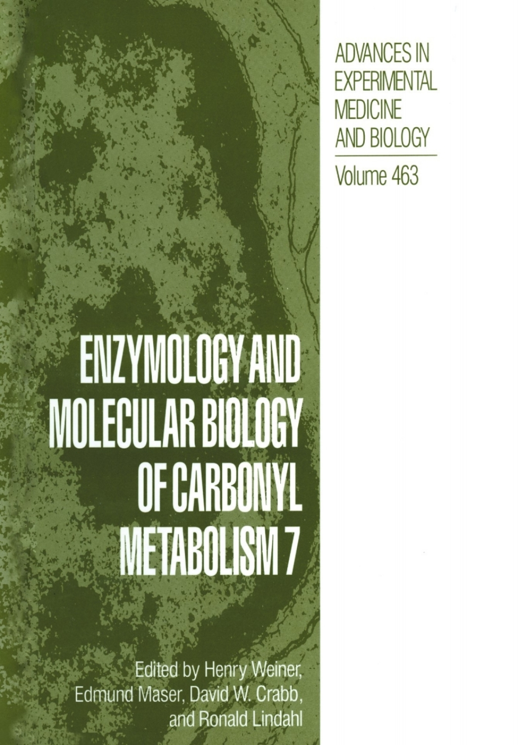 Enzymology and Molecular Biology of Carbonyl Metabolism 7 1st Edition