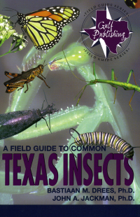 صورة الغلاف: A Field Guide to Common Texas Insects 9780877192633