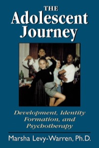 Cover image: The Adolescent Journey 9780765702852