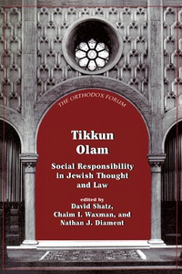 Cover image: Tikkun Olam 9780765759511