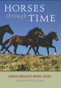 Cover image: Horses through Time 9781570983825