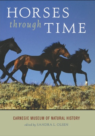 Cover image: Horses through Time 9781570980602