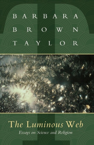 Cover image: The Luminous Web 1st edition 9781561011698