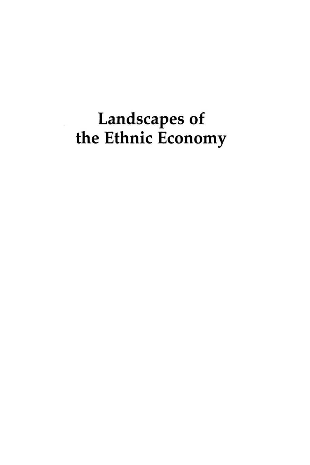 Landscapes of the Ethnic Economy