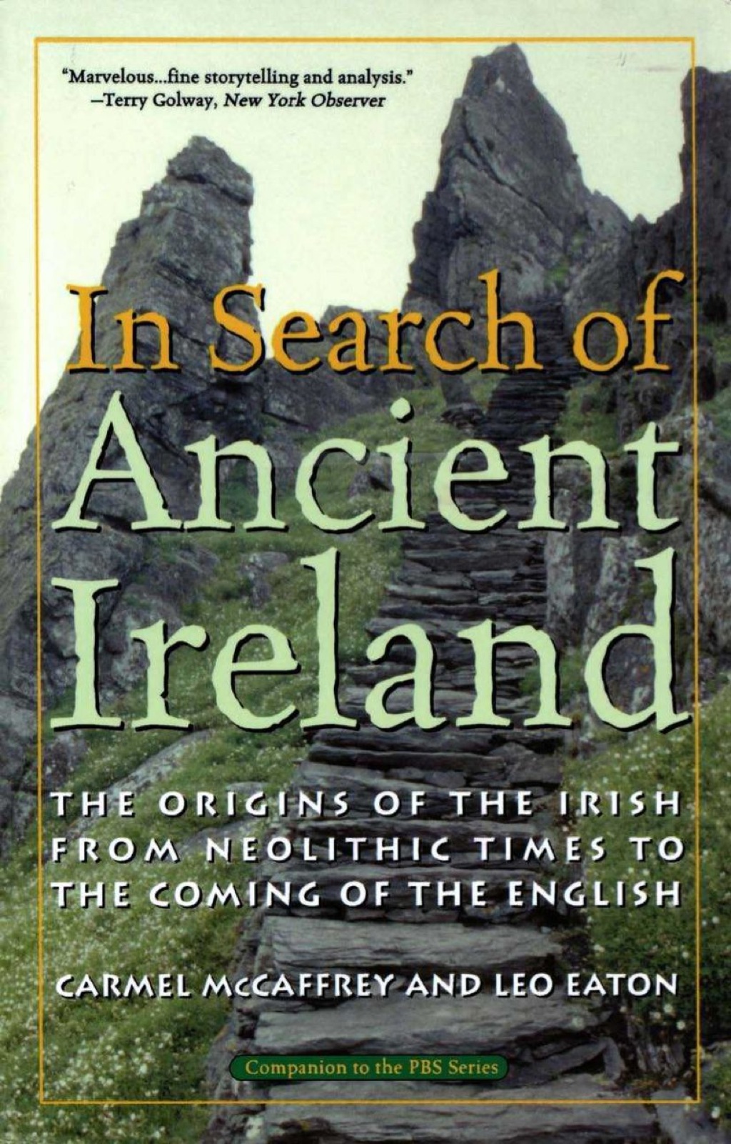 In Search of Ancient Ireland The Origins of the Irish from Neolithic Times to the Coming of the English