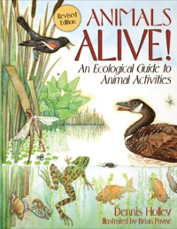 Cover image: Animals Alive! 9781570981708