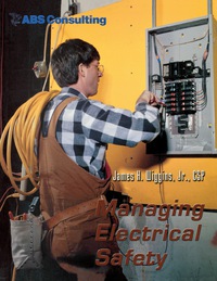 Omslagafbeelding: Managing Electrical Safety 9780865878891