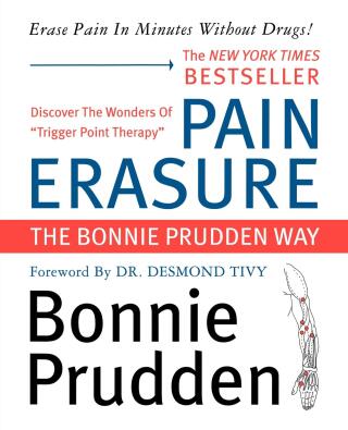 Cover image: Pain Erasure 9780871319838