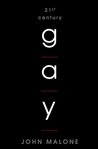 Imagen de portada: 21st Century Gay 9780871319111