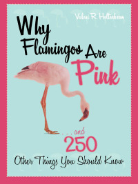 Omslagafbeelding: Why Flamingos Are Pink 9781589793354