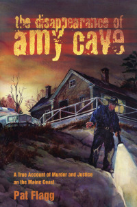 Cover image: The Disappearance of Amy Cave 9780892724772