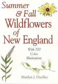 Cover image: Summer & Fall Wildflowers of New England 9780892725595