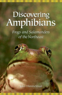 Titelbild: Discovering Amphibians 9780892727032