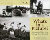 Cover image: What's in a Picture? 9780892727780