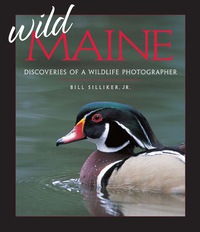 Imagen de portada: Wild Maine 9780892726301