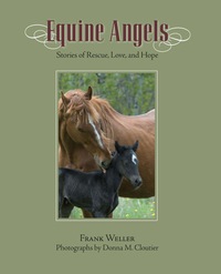 Cover image: Equine Angels 9781599214443