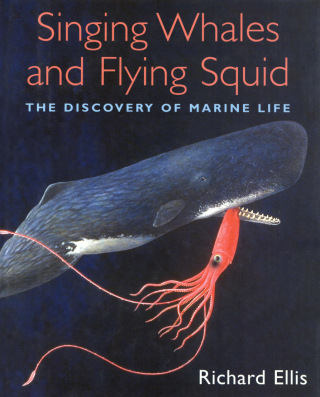 Cover image: Singing Whales and Flying Squid 9781592288427