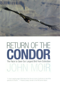 Cover image: Return of the Condor 9781592289493