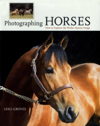 Cover image: Photographing Horses 1st edition 9781592282302