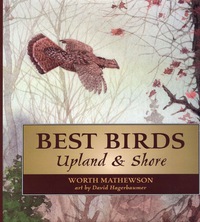 Immagine di copertina: Best Birds Upland and Shore 9780811703628
