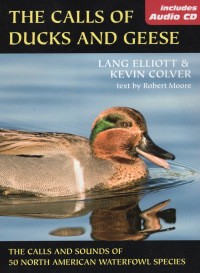 Omslagafbeelding: The Calls of Ducks & Geese 9780811734905