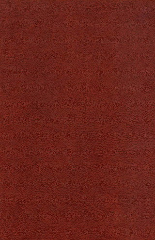 صورة الغلاف: Virginia Papers on the Presidency 28th edition 9780819111203