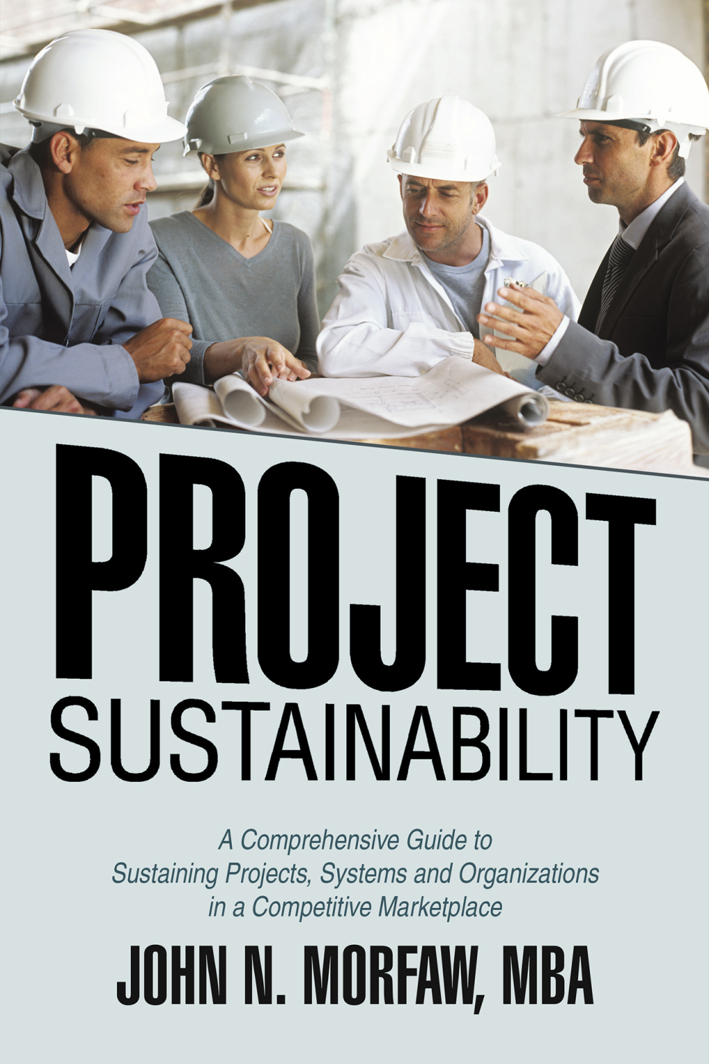 Project Sustainability A Comprehensive Guide to  Sustaining Projects, Systems and Organizations in a Competitive Marketplace