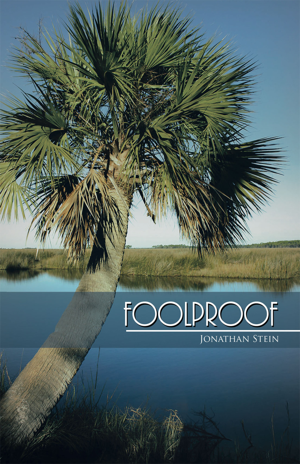 Foolproof (eBook)