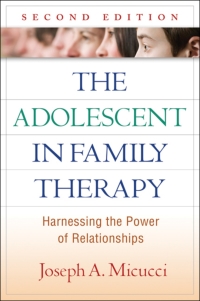 Omslagafbeelding: The Adolescent in Family Therapy 2nd edition 9781606233306