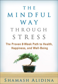 Omslagafbeelding: The Mindful Way through Stress 9781462509409