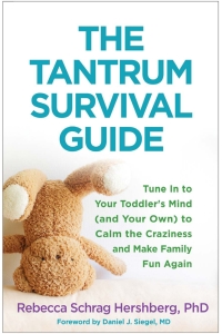 Imagen de portada: The Tantrum Survival Guide 9781462529711