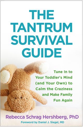 Cover image: The Tantrum Survival Guide 9781462529711
