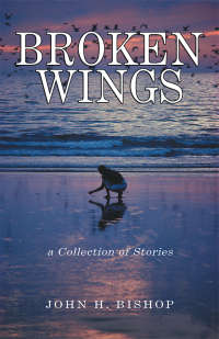 Cover image: Broken Wings 9781413459098