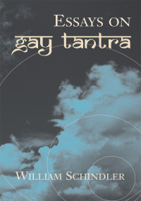 Omslagafbeelding: Essays on Gay Tantra 9780738860282