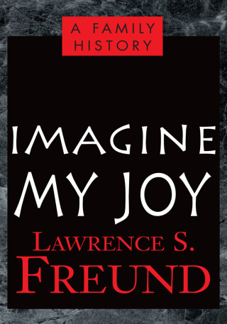 Cover image: Imagine My Joy 9780738867823