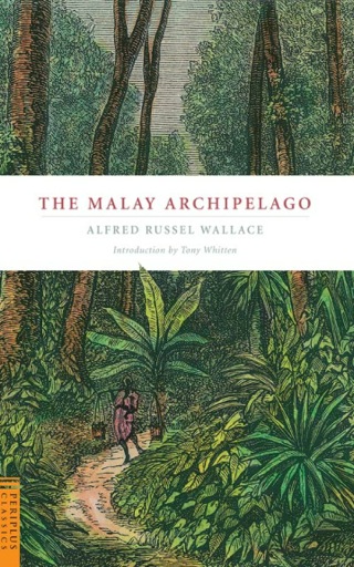 Cover image: Malay Archipelago 9780794605636
