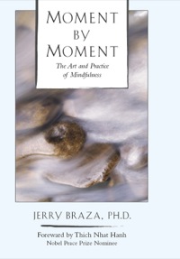 Cover image: Moment by Moment 9780804831130