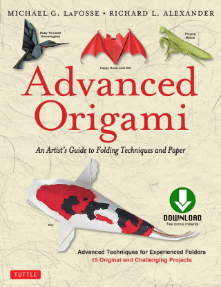 Cover image: Advanced Origami 9780804836500