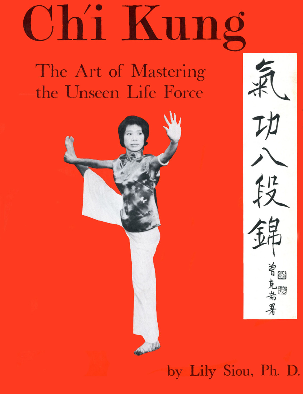 Chi Kung eBook