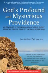 Cover image: God's Profound and Mysterious Providence 9780804847926