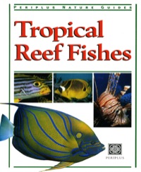 表紙画像: Tropical Reef Fishes 9789625931524