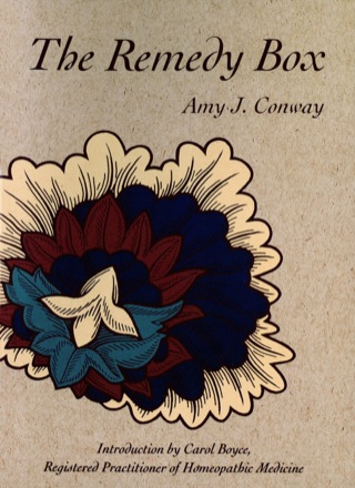 Cover image: Remedy Box 9780804830157