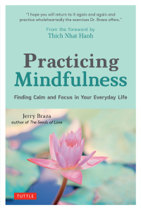 Cover image: Practicing Mindfulness 9780804852609