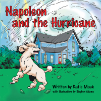 Imagen de portada: Napoleon and the Hurricane 9781434345905